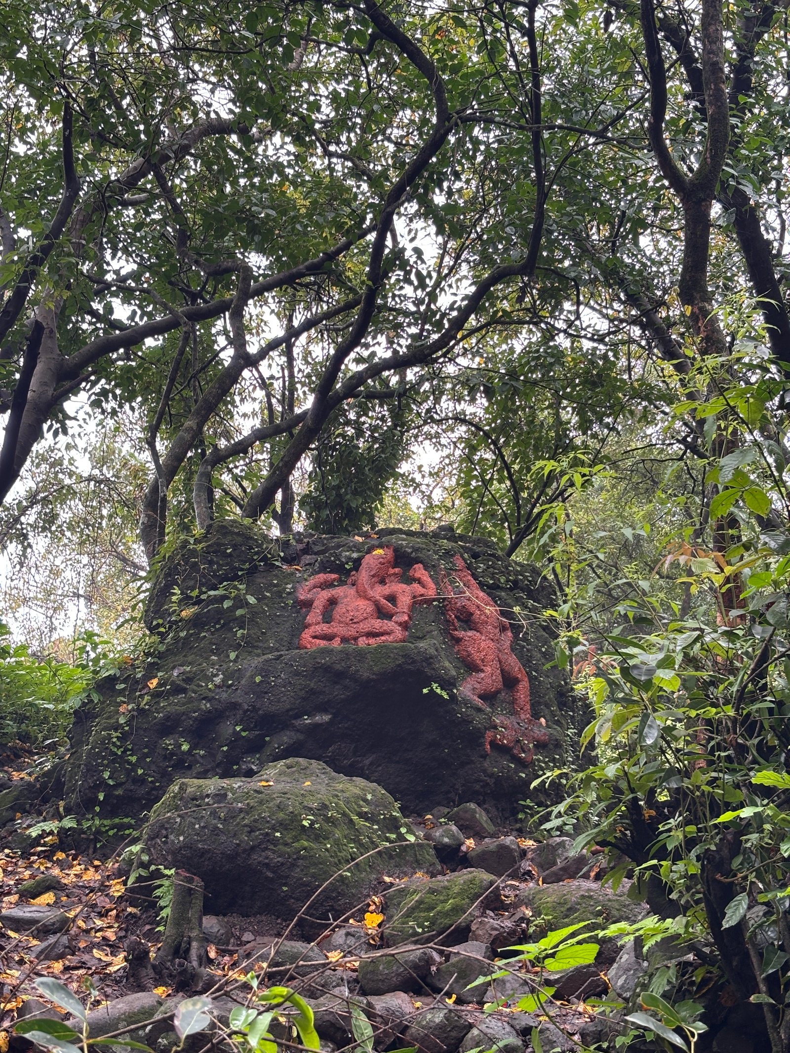 Trek capture